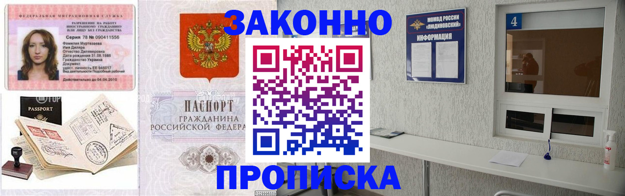 прописка в квартире в Почепе